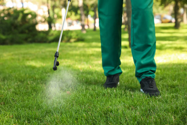 Best Flea Control Services  in Ninnekah, OK