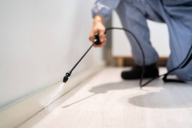 Best Affordable Pest Control Services  in Ninnekah, OK