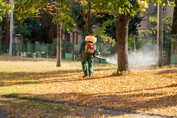 Best Mosquito Control Services  in Ninnekah, OK